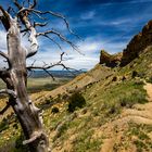 Mesa Verde