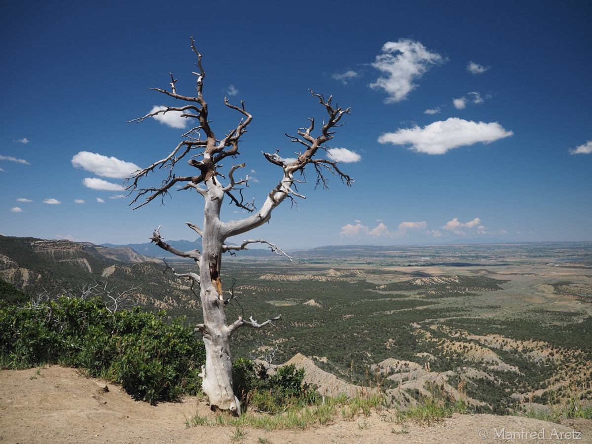 Mesa Verde