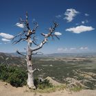 Mesa Verde