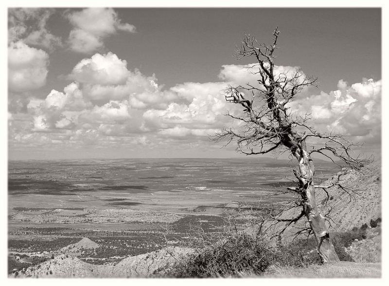 Mesa Verde