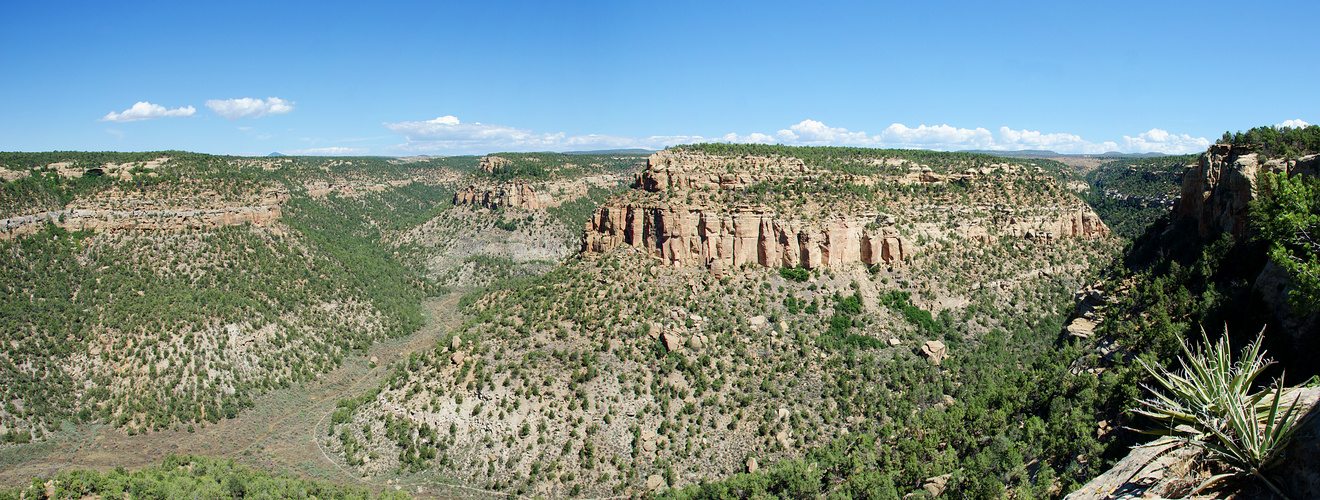 Mesa Verde National Park