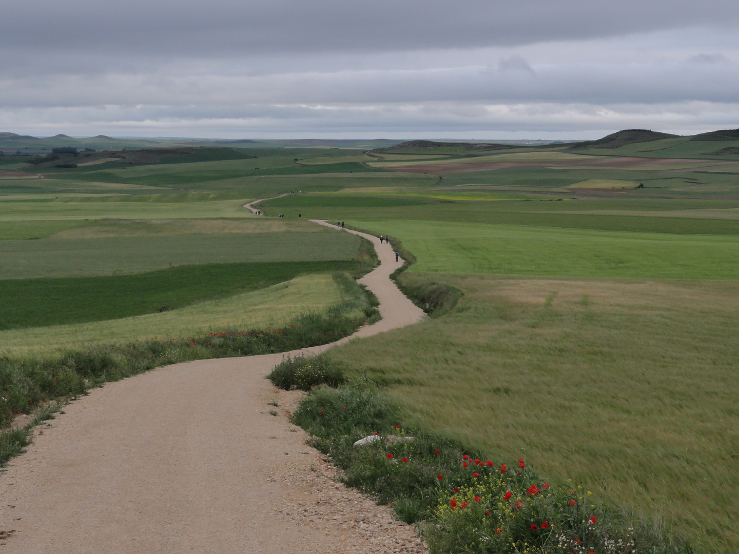 Meseta hinter Castrojeriz