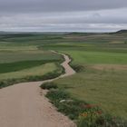 Meseta hinter Castrojeriz