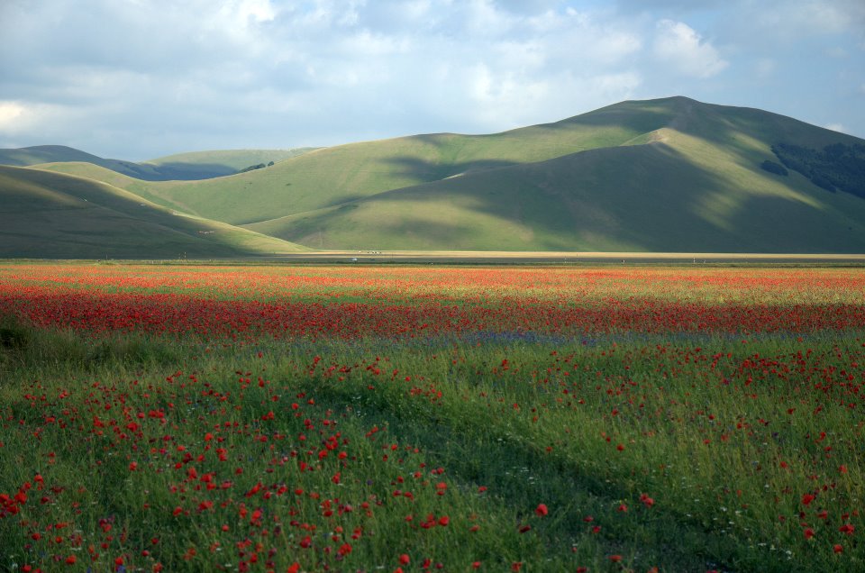 MESI PASSATI