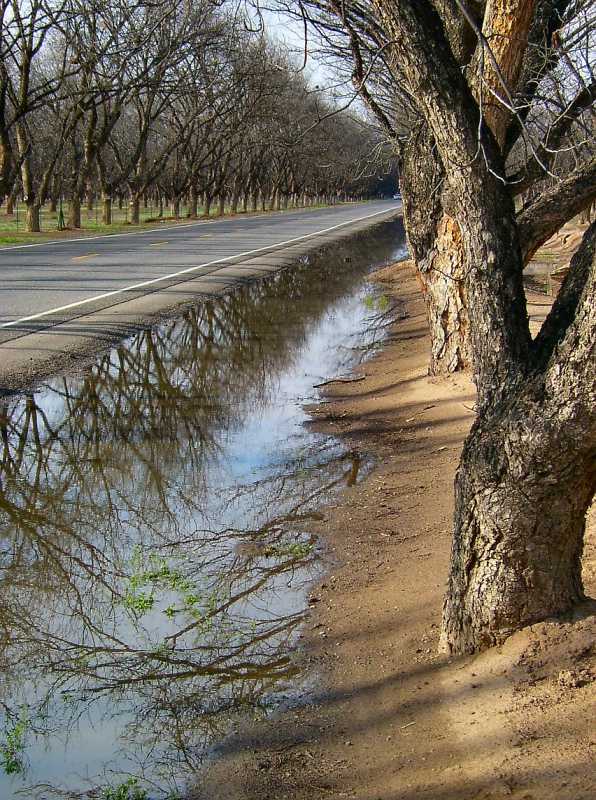 Mesilla Valley - Stahmanns Pecan Farm am Highway 28