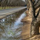 Mesilla Valley - Stahmanns Pecan Farm am Highway 28