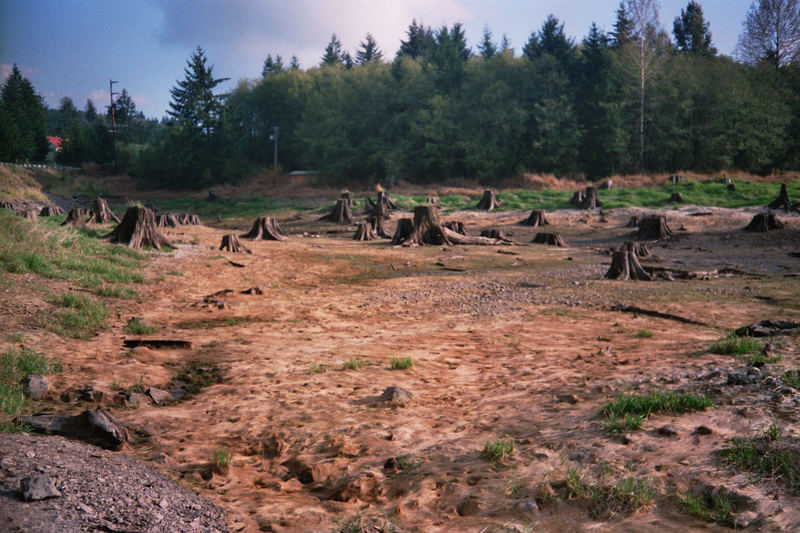 Mesozoikum II Foto & Bild anfängerecke nachgefragt, nachgefragt