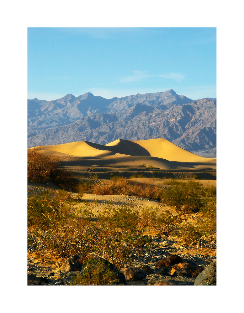 Mesquide Sand Dunes I