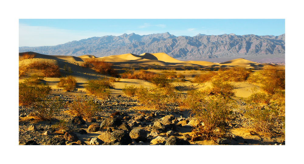 Mesquide Sand Dunes II