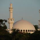 Mesquita