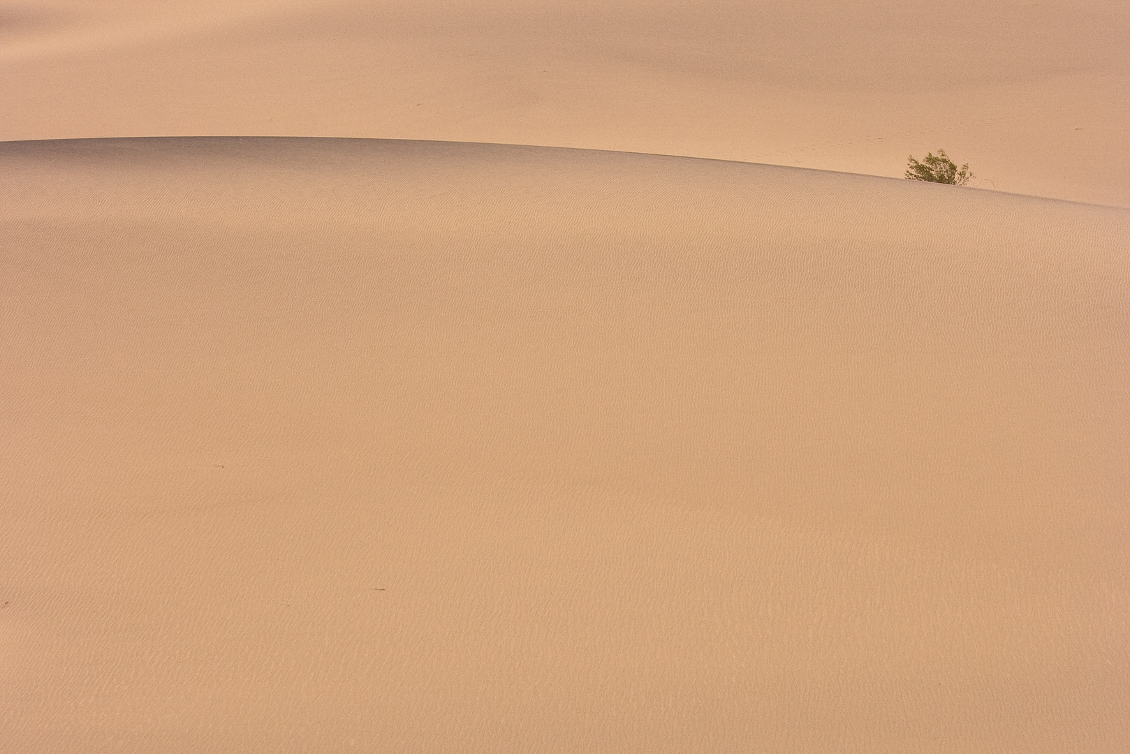 Mesquite Dunes | Death Valley