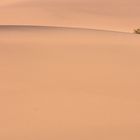 Mesquite Dunes | Death Valley