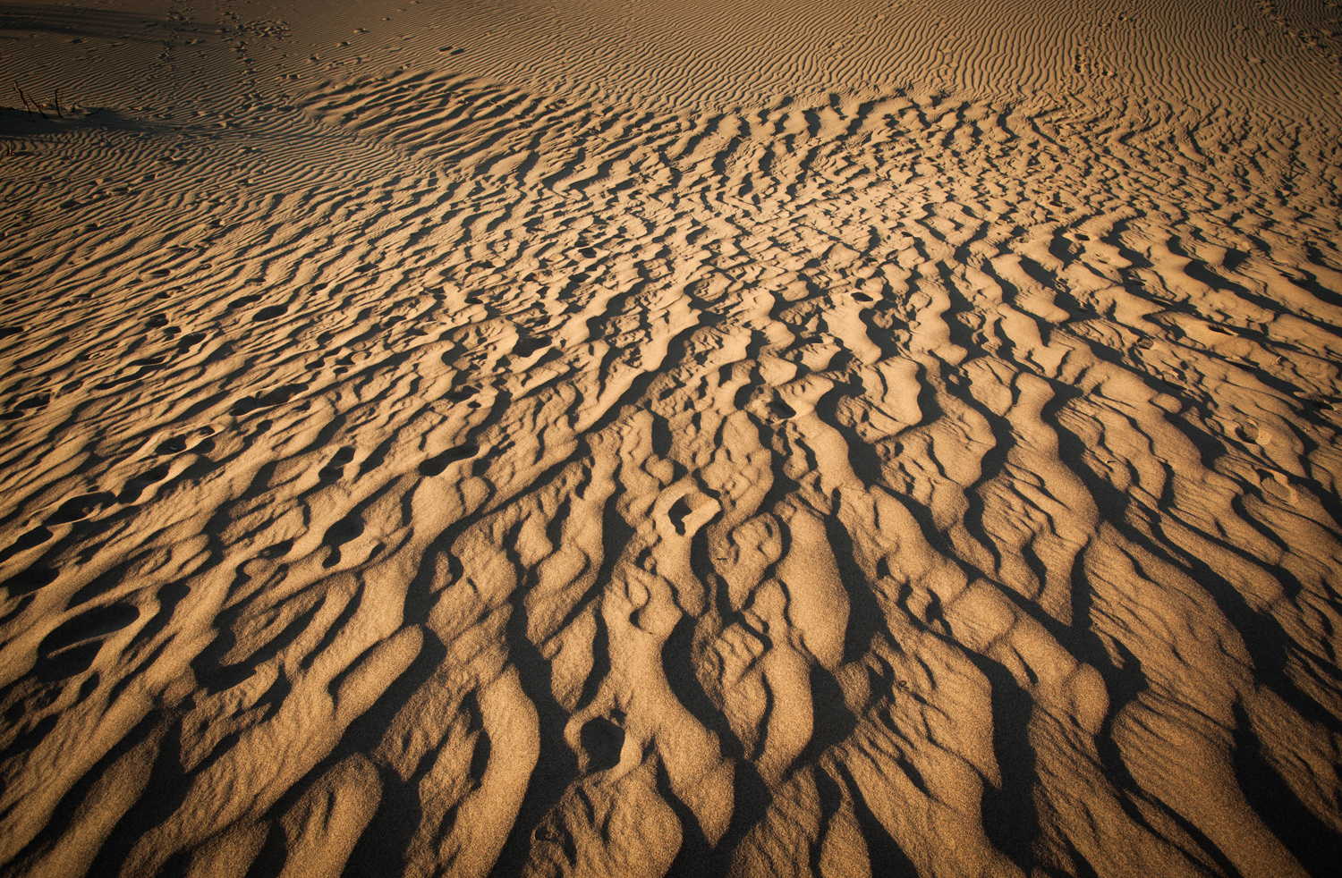 Mesquite Dunes