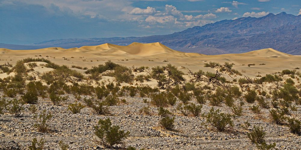 Mesquite Flat Dunes