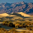 Mesquite Flat Dunes - Death Valley N.P. - Nevada - USA