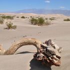 Mesquite Flat Sand Dunes