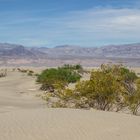 Mesquite flat sand dunes