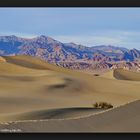 Mesquite Flat Sand Dunes