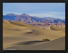 Mesquite Flat Sand Dunes