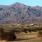 Mesquite Flat Sand Dunes