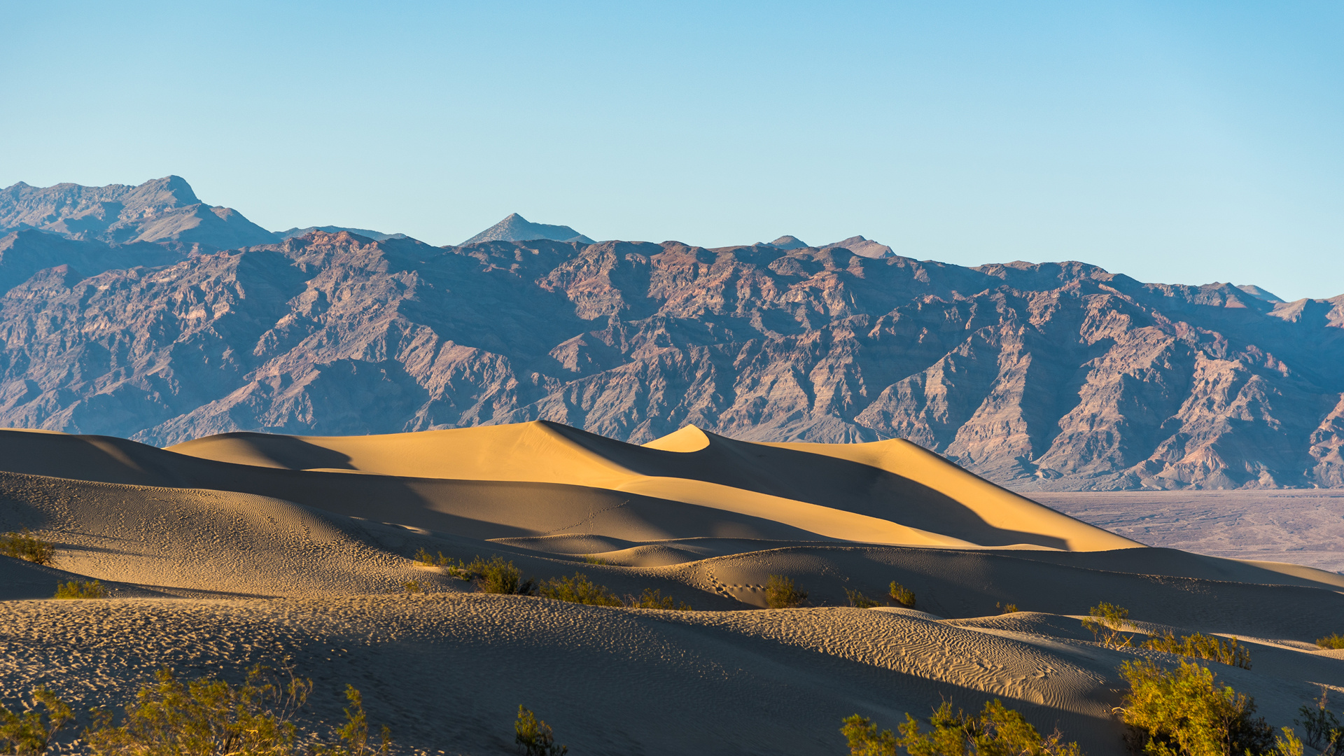 Mesquite Flat Sand Dunes