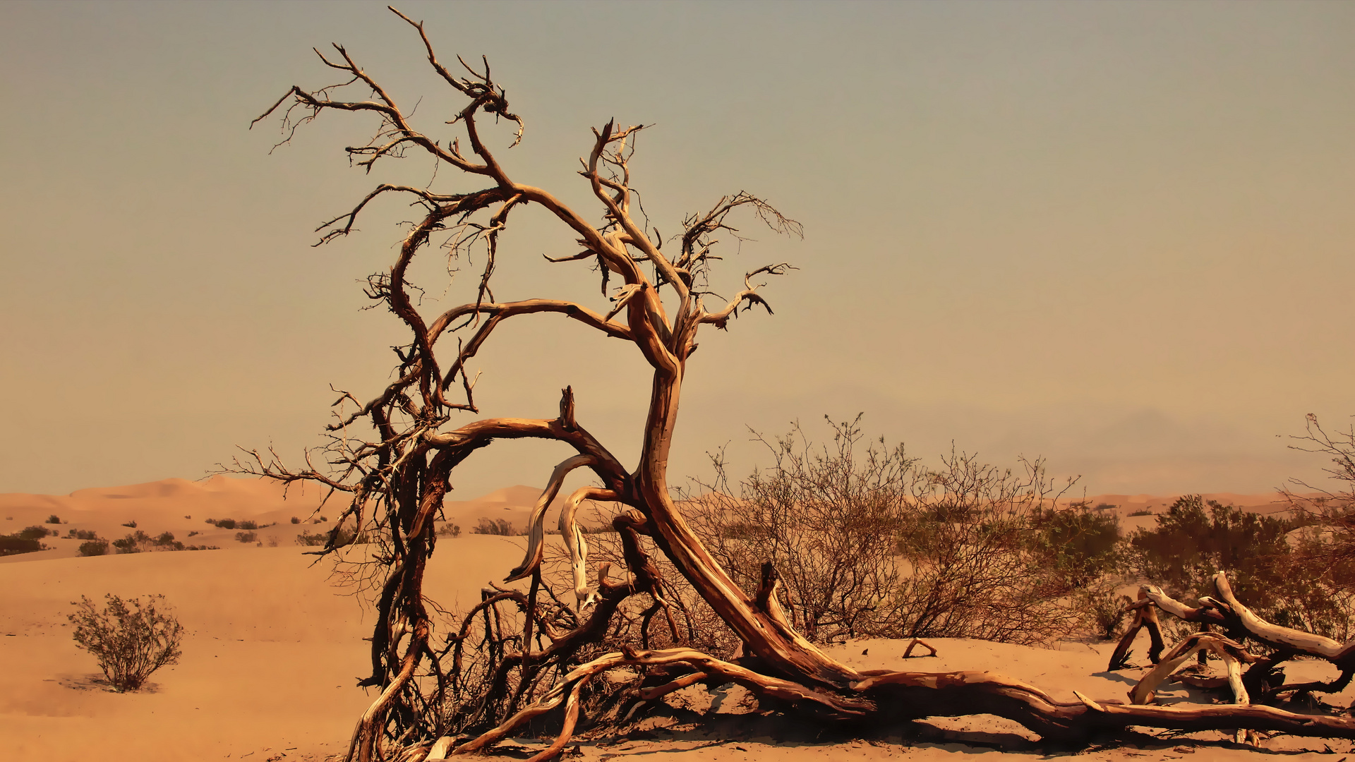 Mesquite Flat Sand Dunes