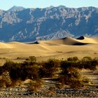 Mesquite Flat Sand Dunes