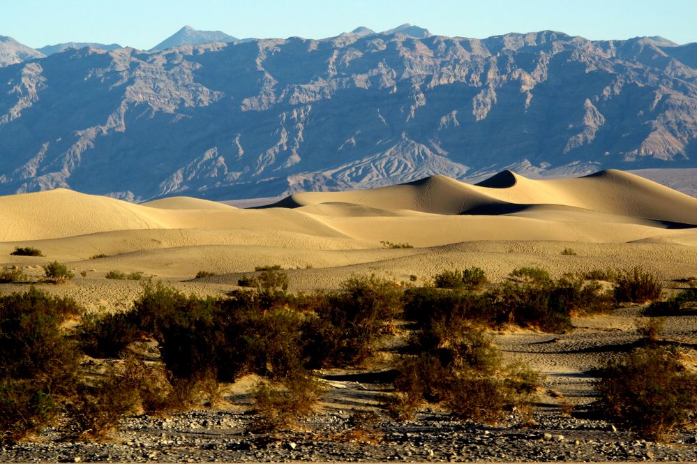 Mesquite Flat Sand Dunes