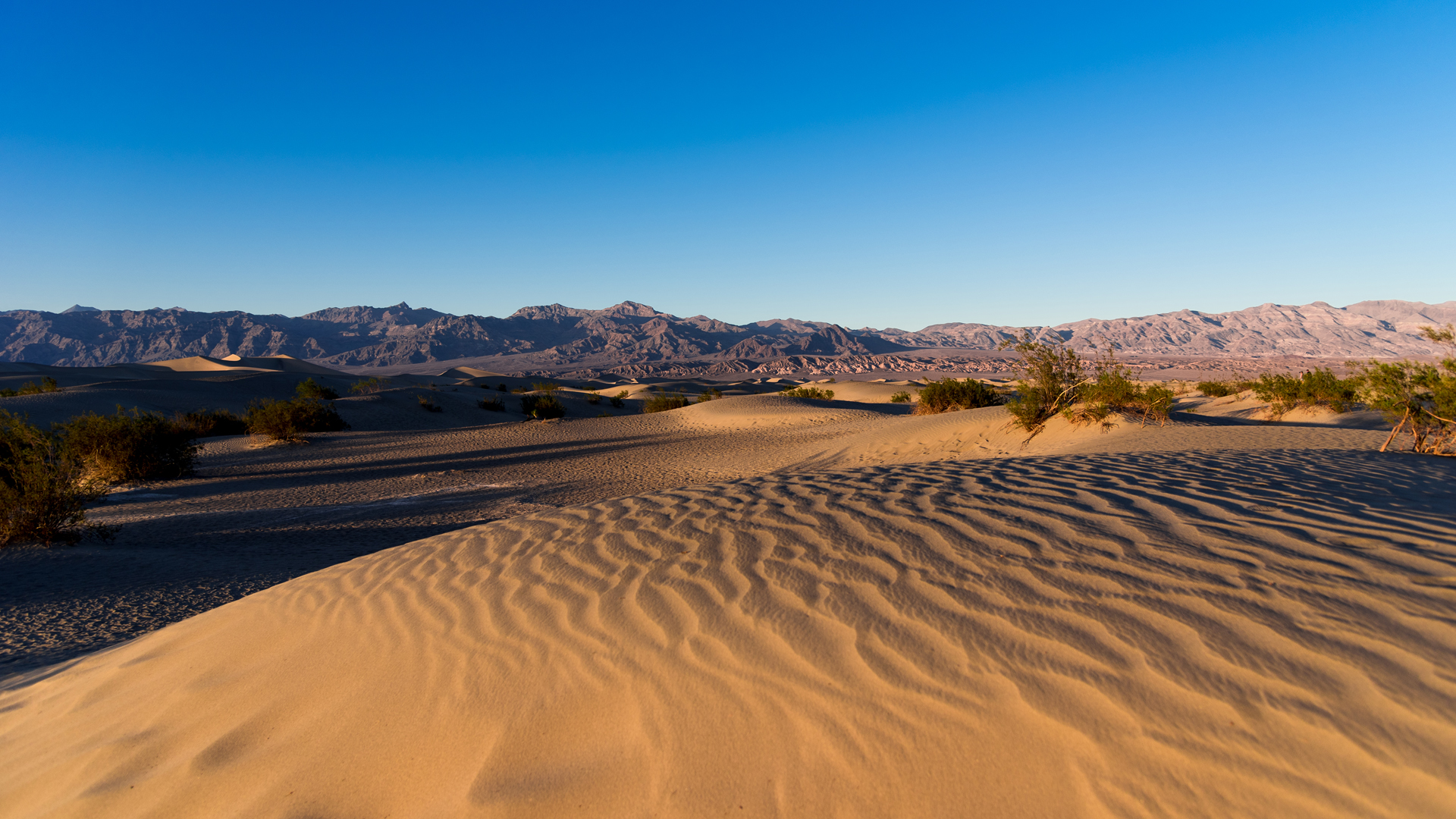 Mesquite Flat Sand Dunes