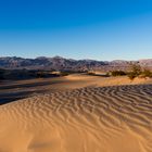 Mesquite Flat Sand Dunes