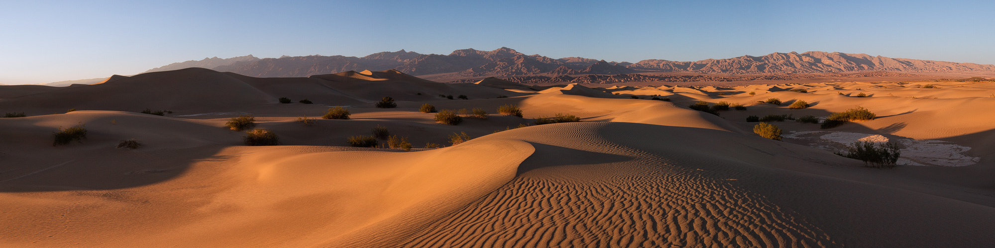 Mesquite Flat Sand Dunes