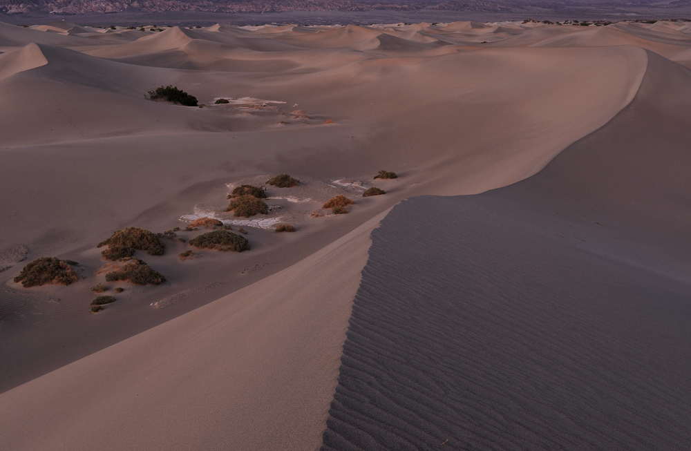 *Mesquite Flat Sand Dunes at dusk*