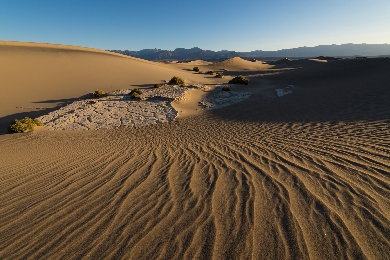 Mesquite Flat Sand Dunes