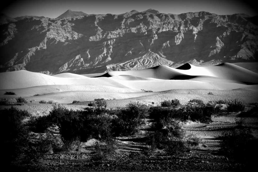 Mesquite Flat Sand Dunes II