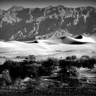 Mesquite Flat Sand Dunes II