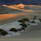 *mesquite flat sand dunes morning*