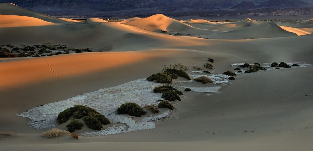 *mesquite flat sand dunes morning*