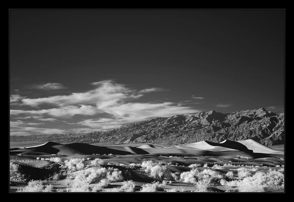 Mesquite Flats