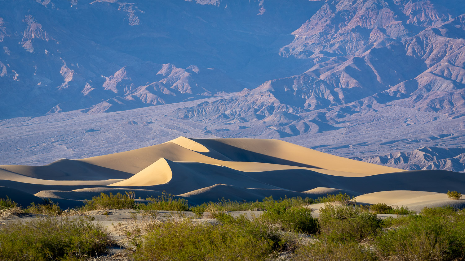 Mesquite Flats Sand Dunes