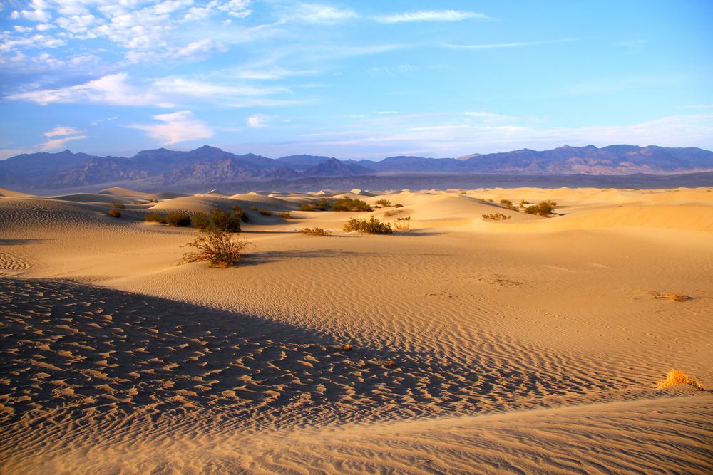 ...Mesquite Sand Dunes...