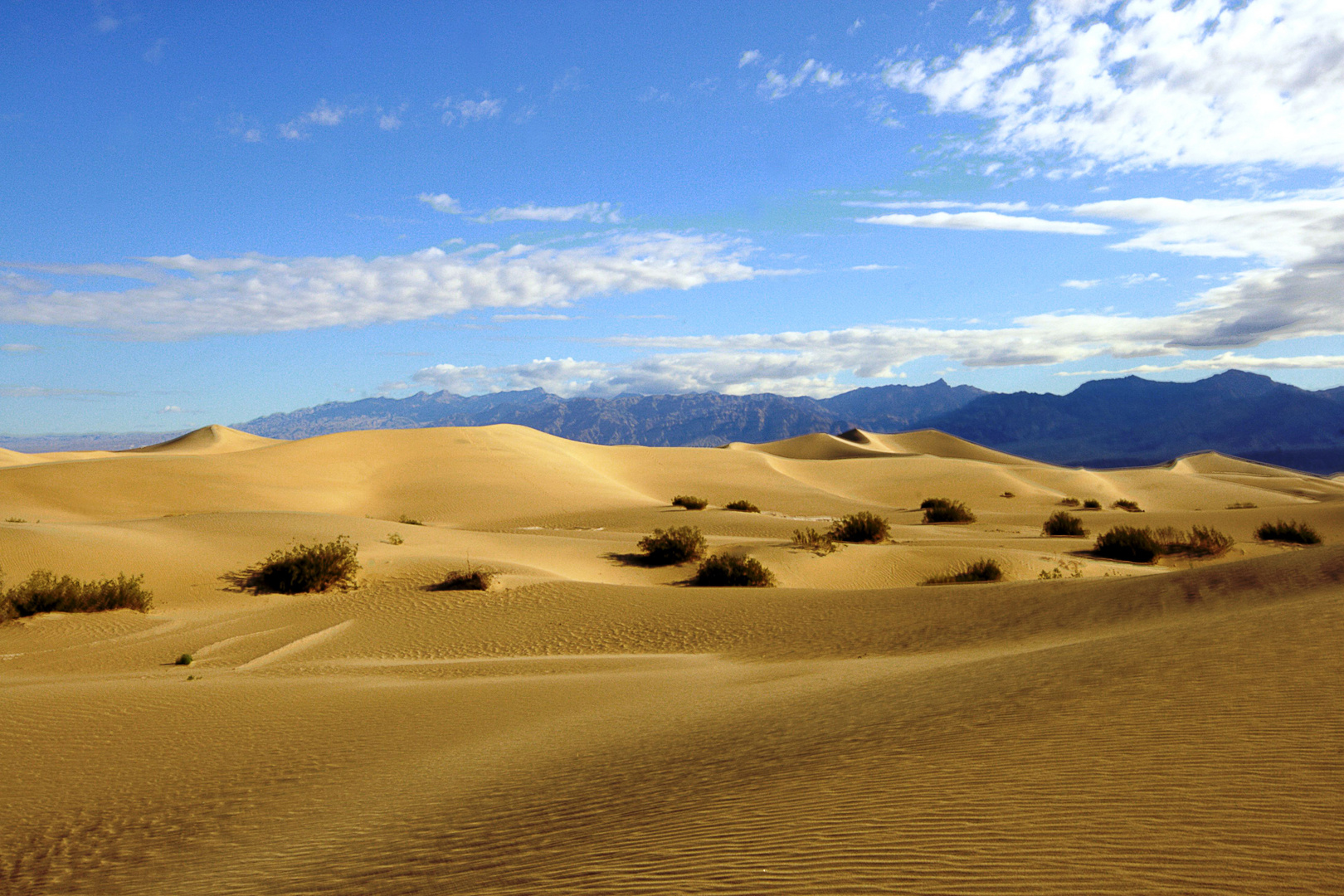 Mesquite Sand Dunes 2