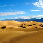 Mesquite Sand Dunes 2