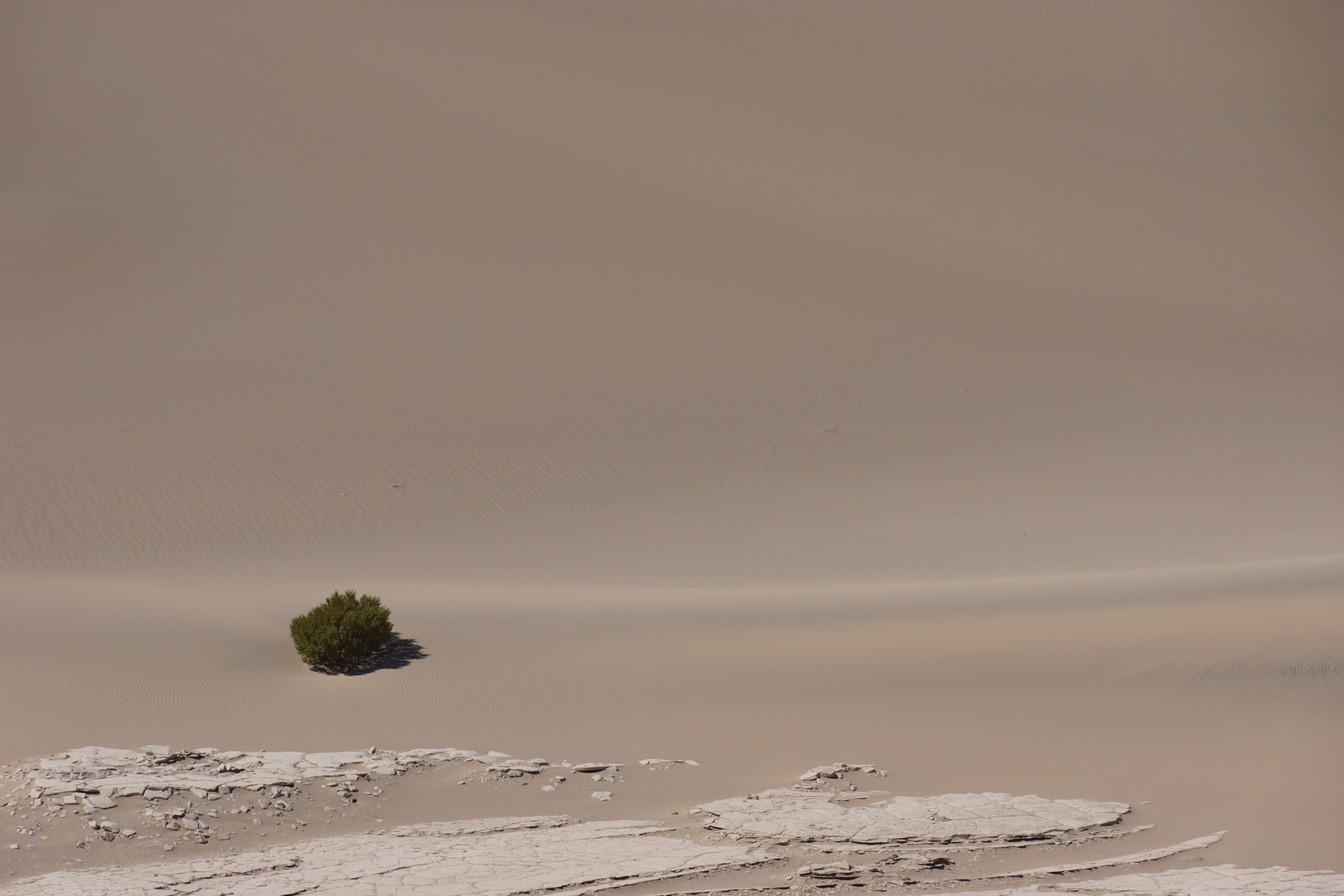 Mesquite Sand Dunes