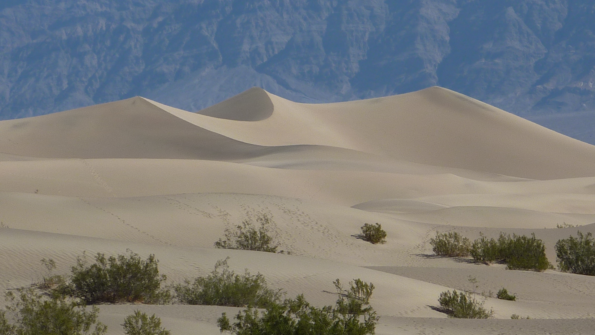 Mesquite Sand Dunes