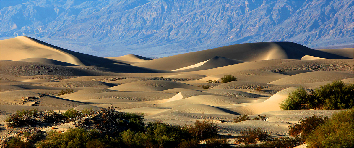 Mesquite Sand Dunes