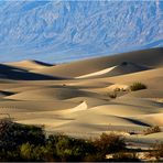 Mesquite Sand Dunes