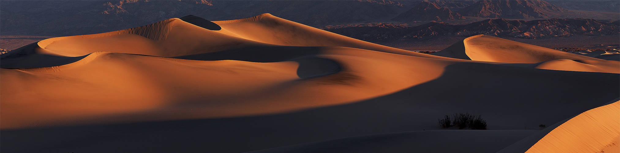 "Mesquite Sand Dunes"