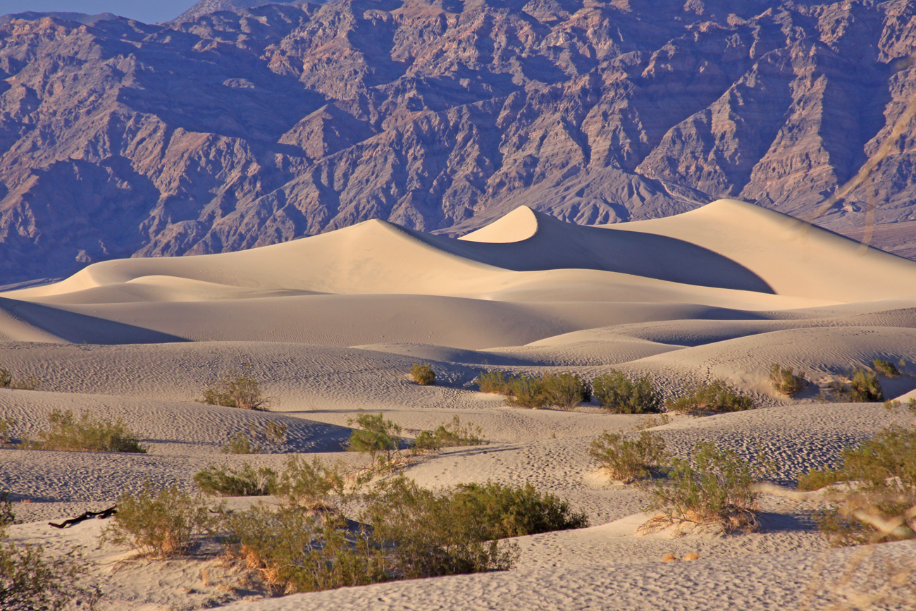 Mesquite Sand Dunes