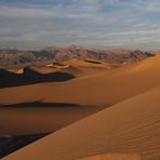 Mesquite Sand Dunes / Death Valley