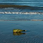 message in a bottle